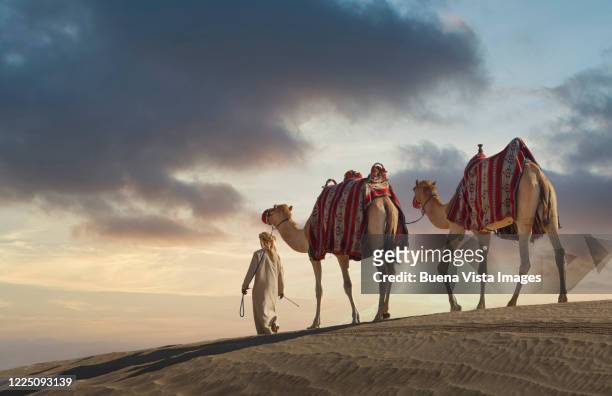 camel caravan on a sand dune - camello dromedario fotografías e imágenes de stock