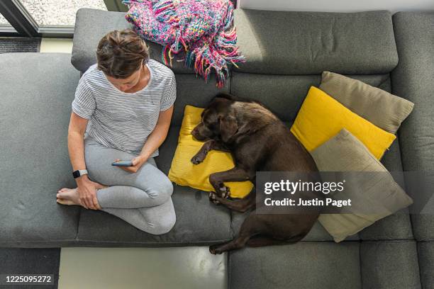 overhead view of a woman on her phone. her pet dog sleeps beside her - yellow labrador retriever photos et images de collection