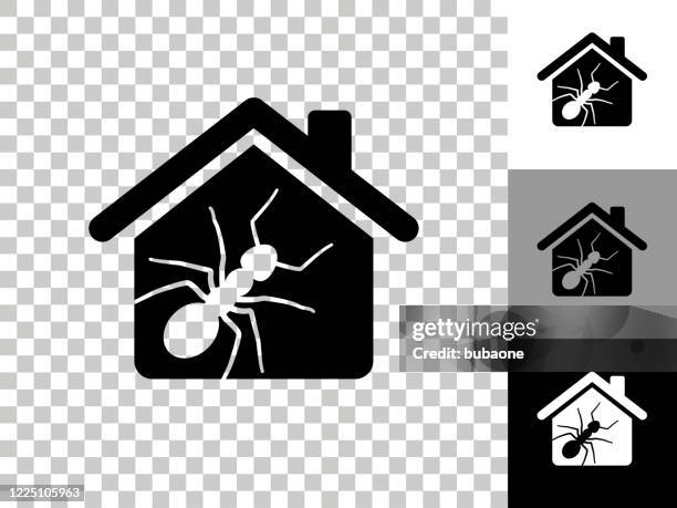 ant pests at home icon on checkerboard transparent background - ant stock illustrations