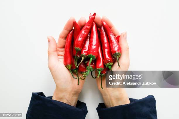 pods of red hot chili pepper in the hands of a woman on a white background. homemade vegetables in the palms of the girl. free space for text. - hot mexican girls stock-fotos und bilder