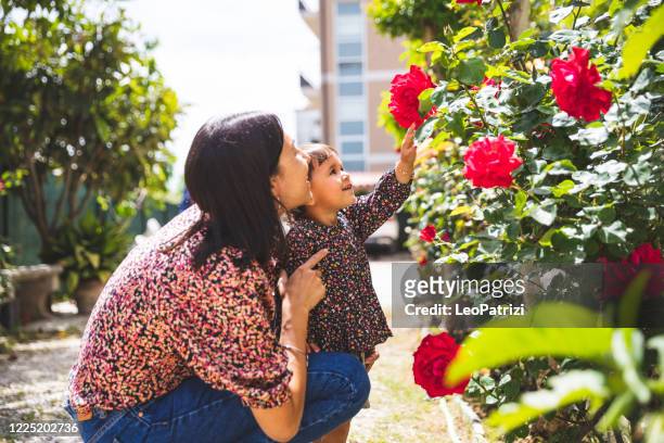mother and daughter taking a breath of fresh air in the garden - roses in garden stock pictures, royalty-free photos & images