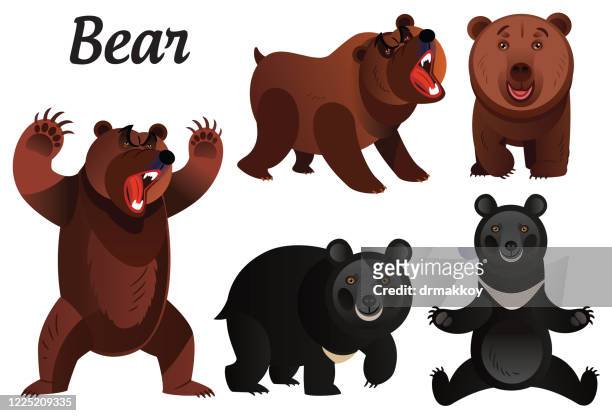 3,717 Cartoon Bear Photos and Premium High Res Pictures - Getty Images