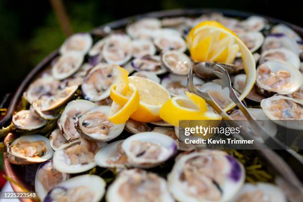 raw clam with lemon appetizer - clam seafood stock pictures, royalty-free photos & images