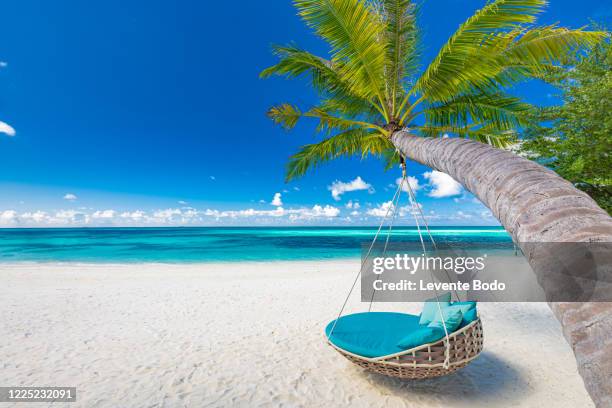 tropical beach background as summer landscape with beach swing or hammock and white sand and calm sea for beach banner. perfect beach scene vacation and summer holiday concept. boost up color process - pazifikinseln stock-fotos und bilder