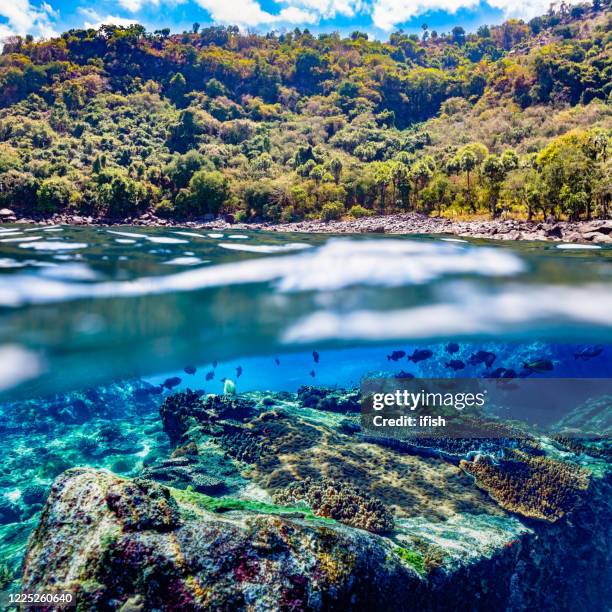 seascape and landscape, split photo of remote alor island, pantar strait, indonesia - sinularia coral stock pictures, royalty-free photos & images