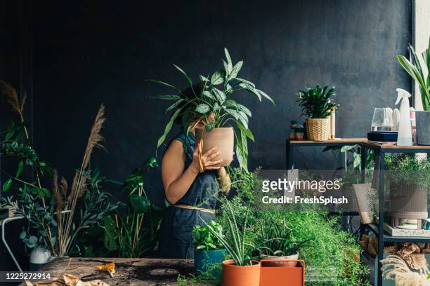 de tuinman die van de vrouw een grote potplant draagt - kamerplant stockfoto's en -beelden
