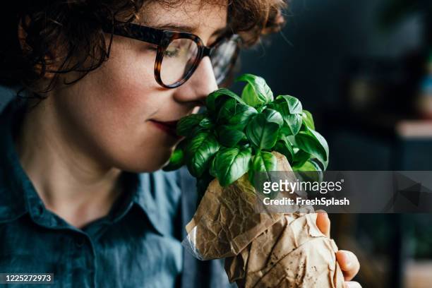 香りの良いハーブ:新鮮なバジルの葉の香りを楽しむ女性植物学者 - バジル ストックフォトと画像