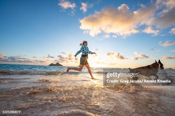 woman and dog run along beach, sunrise - dog splashing stock pictures, royalty-free photos & images