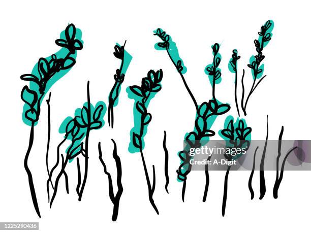 spring leaves growing teal - teal flowers stock illustrations