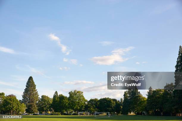 a soccer field under a blue sky with a few clouds - american football field photos et images de collection