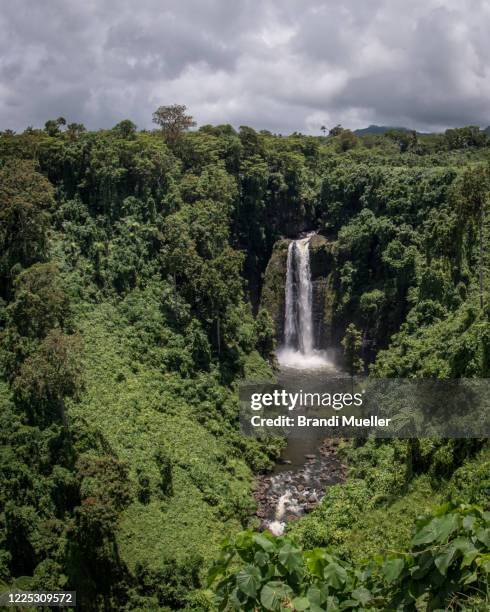 sopoasa waterfall, samoa - samoa stock pictures, royalty-free photos & images