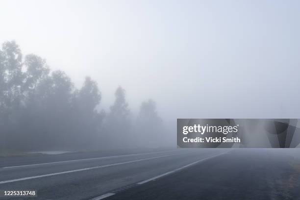 misty and foggy morning along a country road - foggy road stock pictures, royalty-free photos & images