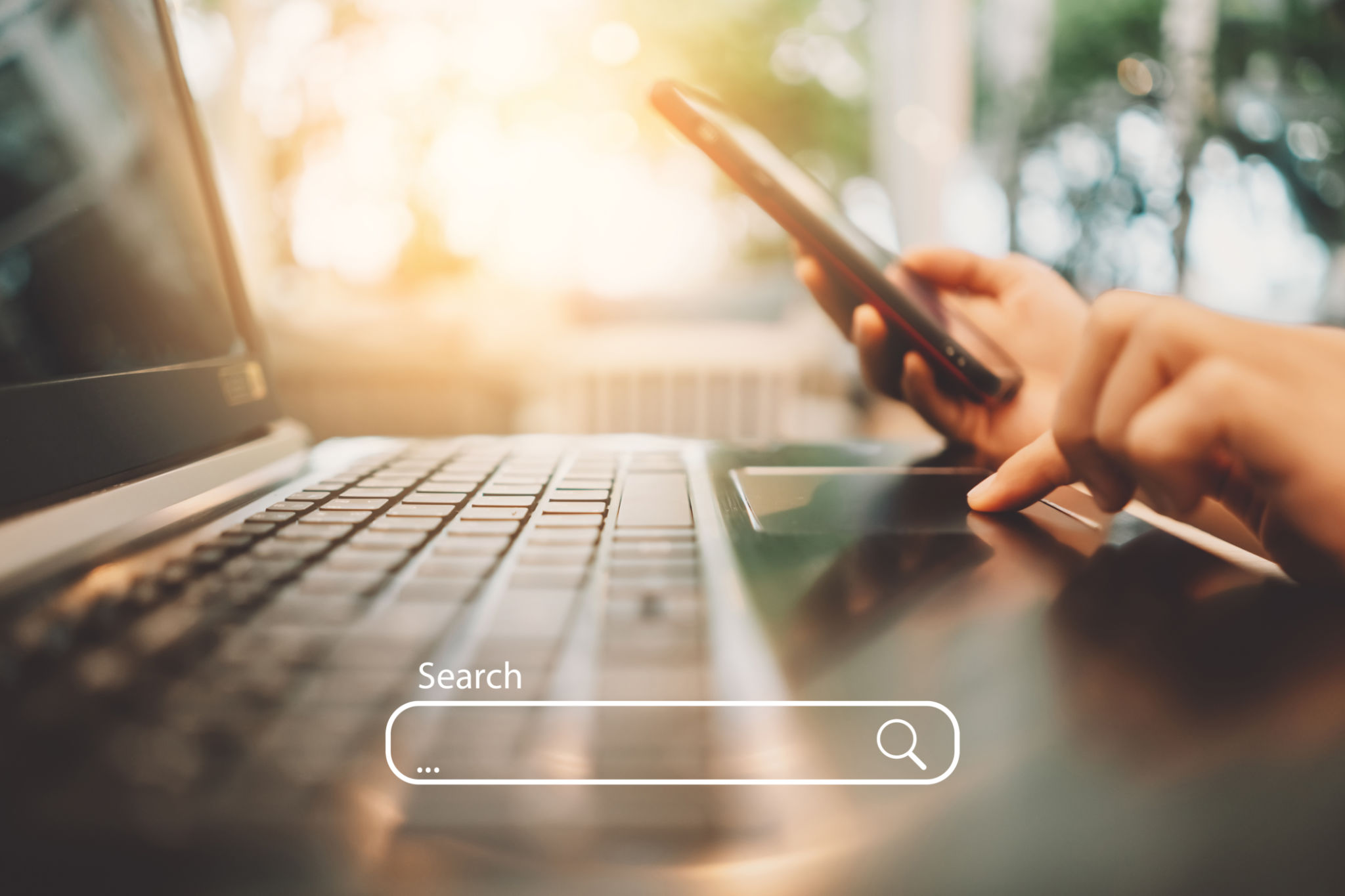 search bar website