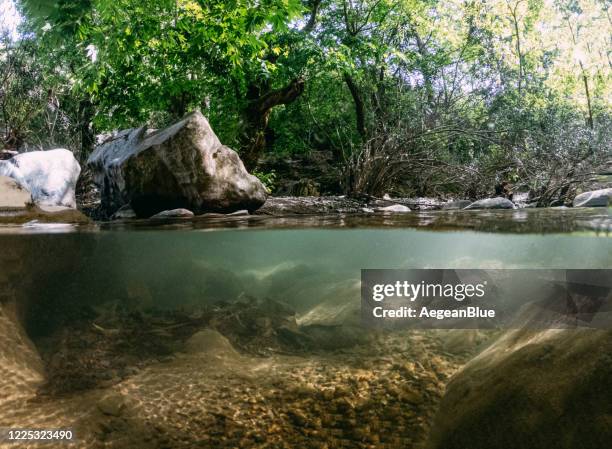 half underwater view river - river rock stock pictures, royalty-free photos & images