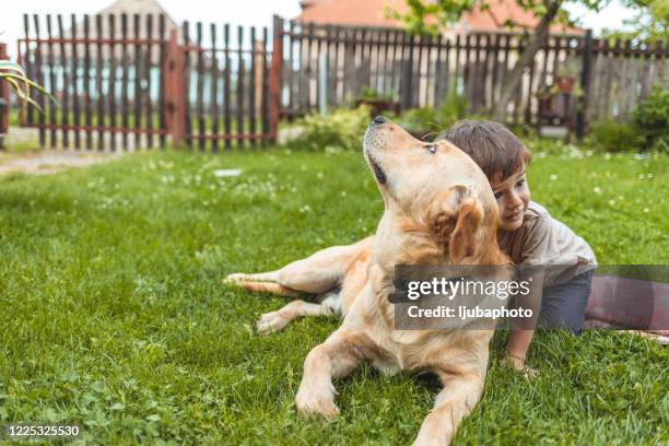 kleiner junge mit großem hund - big dog little dog stock-fotos und bilder