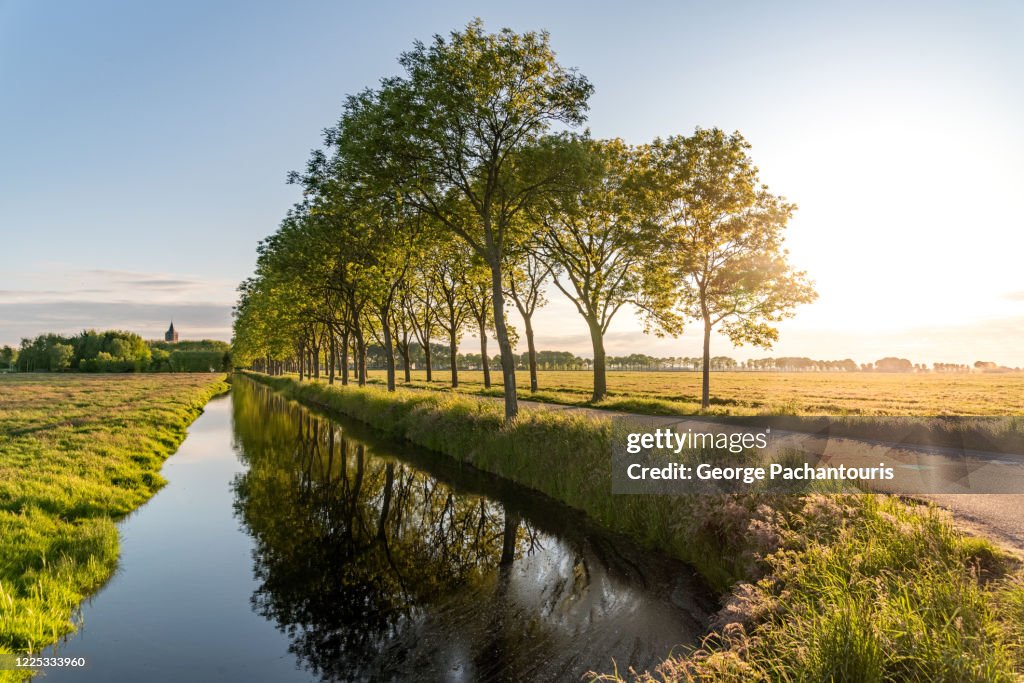 Canal and tree lined road during sunset