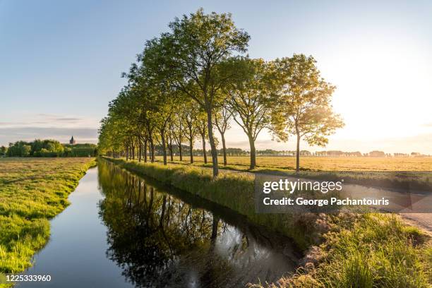 canal and tree lined road during sunset - treelined stock pictures, royalty-free photos & images