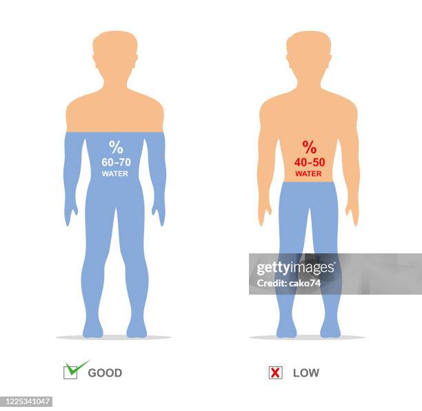 rate of water in our body - dehydration stock illustrations