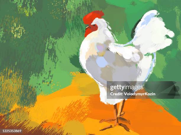 picturesque illustration of a white rooster on a bright background - chicken bird stock illustrations