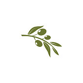 olive oil  logo template vector design
