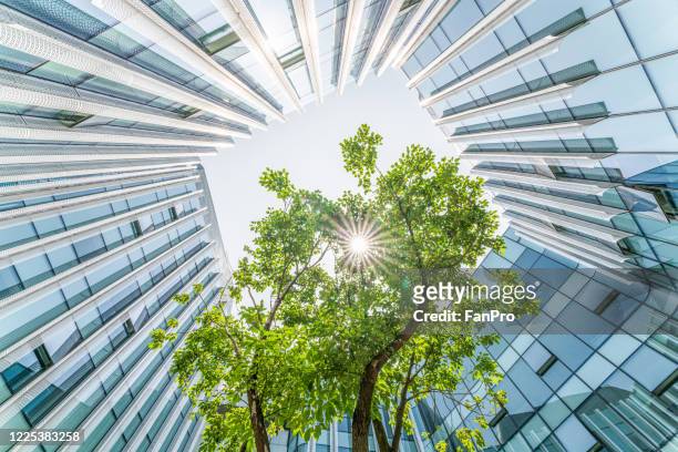modern ecological city - green glass business stock-fotos und bilder