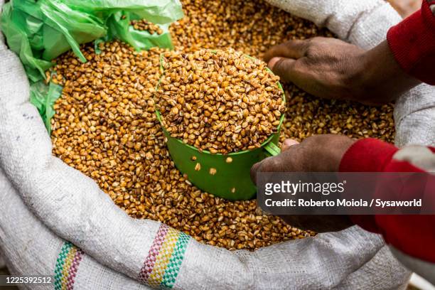 wheat grains at local market, amhara region, ethiopia, africa - ethiopian farming stock pictures, royalty-free photos & images