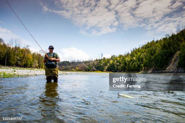 en tonåring fly-fisher spelar en fisk på en vacker biflod flod av sjön huron. - bass player bildbanksfoton och bilder