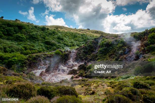 furnas do enxofre on the island of terceira, azores, portugal - furnas valley stock pictures, royalty-free photos & images