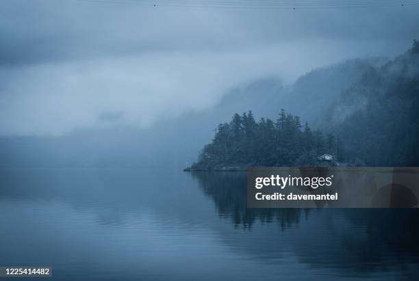 goldstream harbour victoria bc - vancouver island trees stock pictures, royalty-free photos & images
