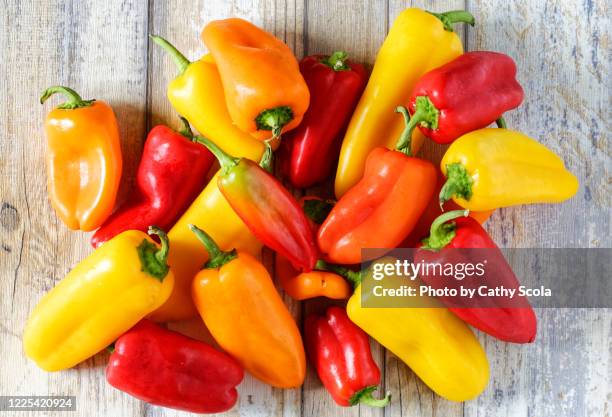 mini bell peppers - orange bell pepper fotografías e imágenes de stock