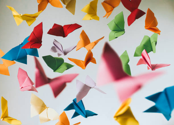 paper butterflies - zoo art stock pictures, royalty-free photos & images