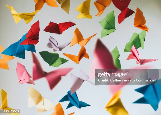 paper butterflies - freedom stock pictures, royalty-free photos & images