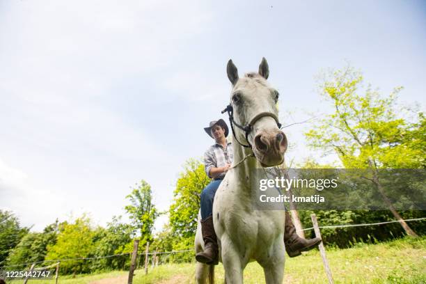 low angle view on young adult man horseback riding on ranch - horse front view stock pictures, royalty-free photos & images