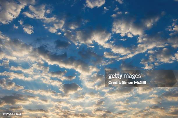 sunrise in a sky filled with small fluffy stratocumulus clouds - stratocumulus stock pictures, royalty-free photos & images