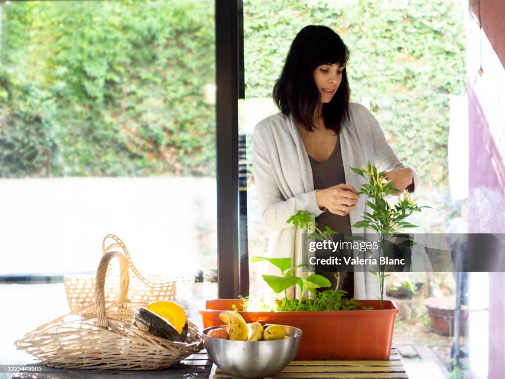 Woman caring for plants
