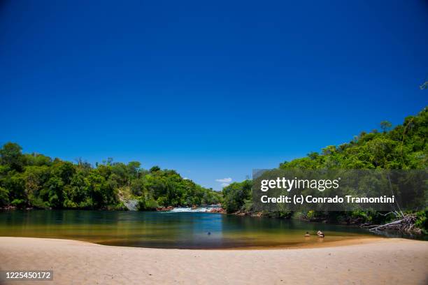 árvores na beira de um rio e uma prainha de areia - tocantins stock pictures, royalty-free photos & images