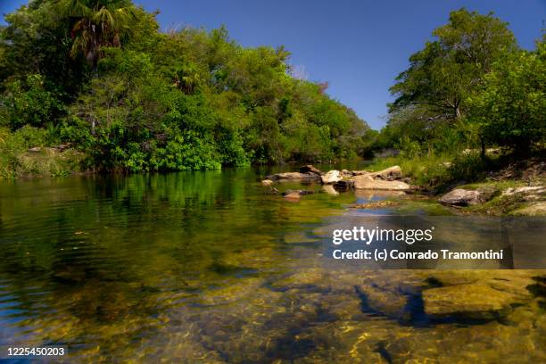 um rio limpo cercado de árvores - limpo fotografías e imágenes de stock