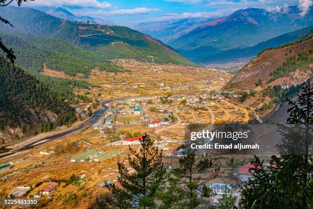 haa valley, bhutan - disparo bildbanksfoton och bilder