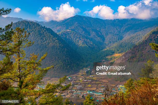 haa valley, bhutan - disparo bildbanksfoton och bilder