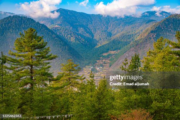 haa valley, bhutan - disparo bildbanksfoton och bilder