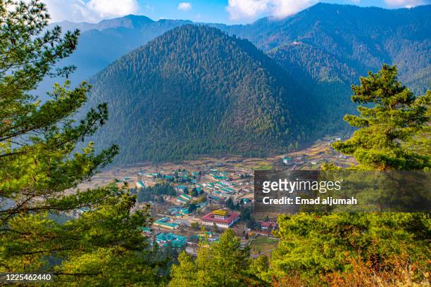 haa valley, bhutan - disparo bildbanksfoton och bilder