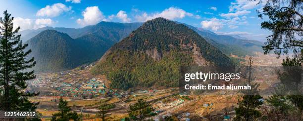 haa valley, bhutan - disparo bildbanksfoton och bilder