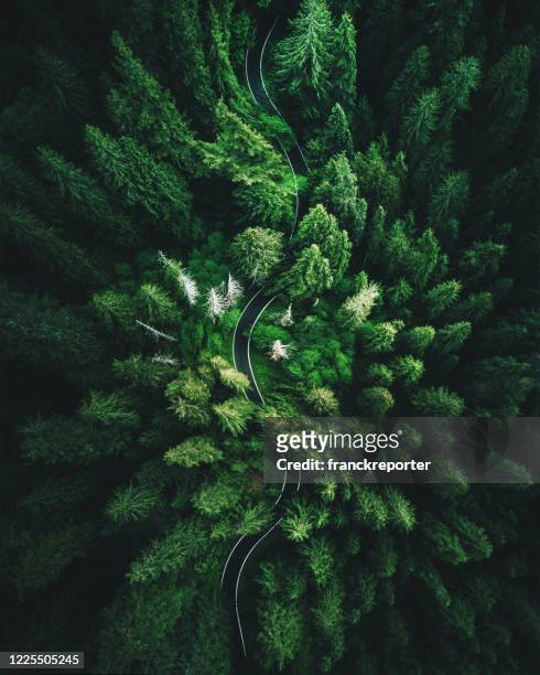 high angle view in washington state - overhead view stock pictures, royalty-free photos & images