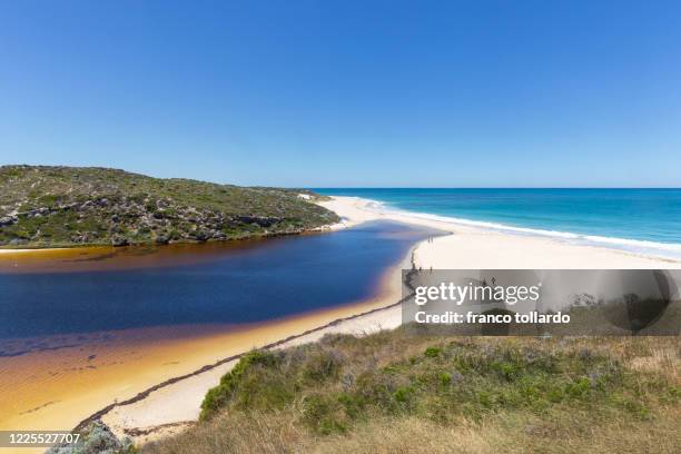 the mouth of river - moore stock pictures, royalty-free photos & images