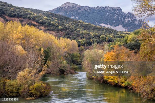 autumn in navarra. udarbe river - comunidad foral de navarra fotografías e imágenes de stock