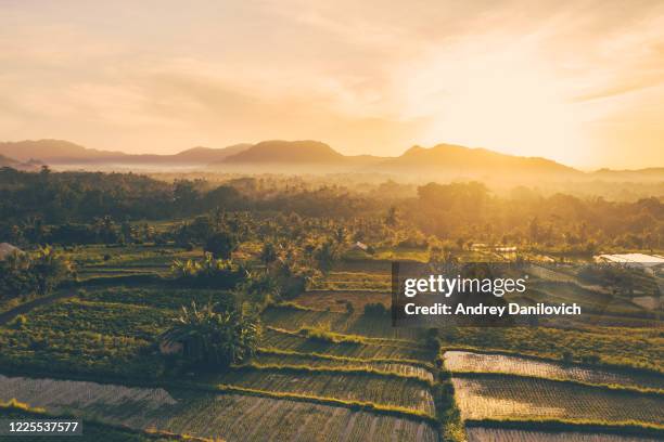 sunrise over rice terraces, bali - jatiluwih rice terraces stock pictures, royalty-free photos & images