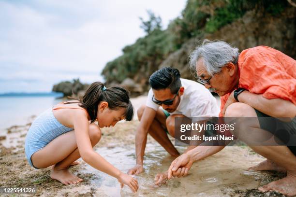 three generation family playing in tide pool, japan - learning generation parent child photos et images de collection