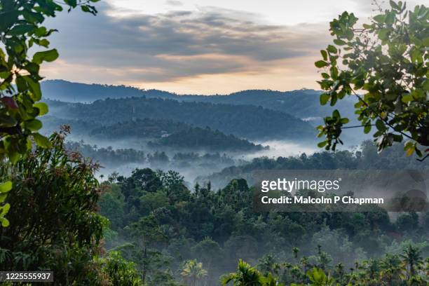 misty hills at sunrise, munnar, kerala, india - malcolm hill fotografías e imágenes de stock