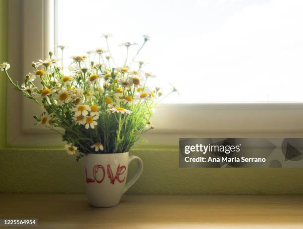 a cup-shaped vase with the word love filled with daisies in front of a window - photographed through window stockfoto's en -beelden