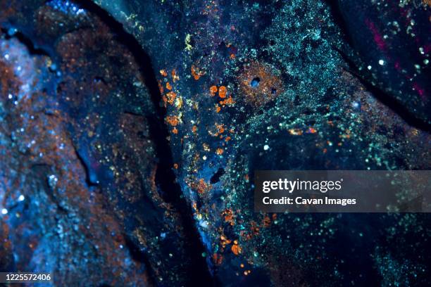 microbial organisms under ultraviolet light inside of a lava tube cave - lava tube stock pictures, royalty-free photos & images